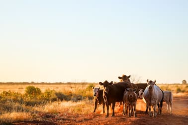 2372 Henry Roberts Road Packsaddle NSW 2880 - Image 3
