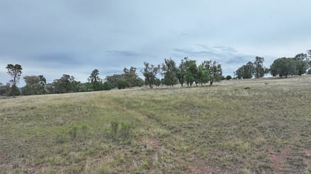 1632 GAMBLE CREEK ROAD Binnaway NSW 2395 - Image 2