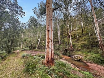 Lot 182 Stockyard Creek Road Paynes Crossing NSW 2325 - Image 2