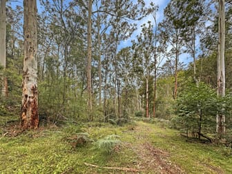 Lot 182 Stockyard Creek Road Paynes Crossing NSW 2325 - Image 3