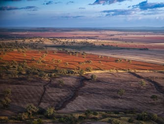 'Tuwinga', Traills Road Bundella NSW 2343 - Image 1