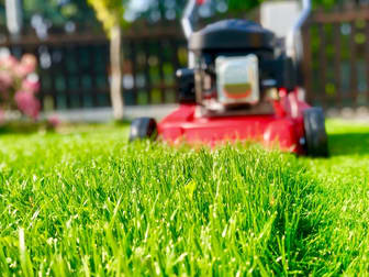 Gardening  business for sale in Mount Eliza - Image 1