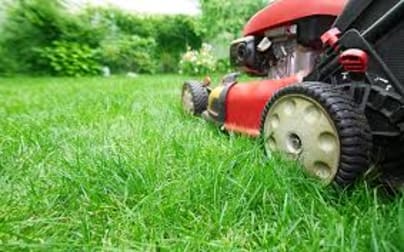 Gardening  business for sale in Mount Eliza - Image 2