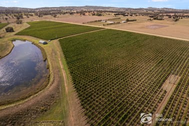 70 Shiraz Drive Gulgong NSW 2852 - Image 1