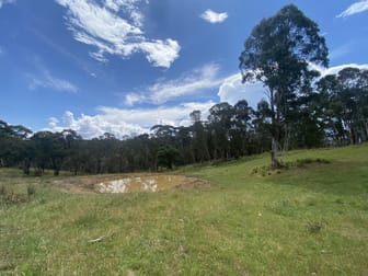 892 Isabella Road Isabella NSW 2795 - Image 3