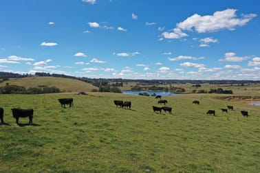 8 Waterworks Road Crookwell NSW 2583 - Image 3
