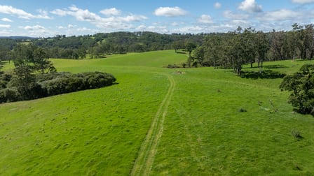 624 Deer Vale Road Dorrigo NSW 2453 - Image 2