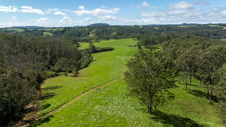 624 Deer Vale Road Dorrigo NSW 2453 - Image 3