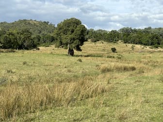 Lot 46 Bunya Mountains Maclagan Road Rangemore QLD 4352 - Image 1