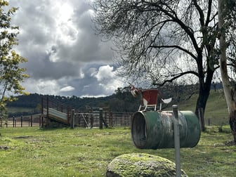 234 Taradale Road Tumbarumba NSW 2653 - Image 1