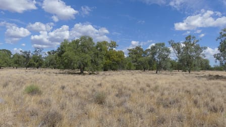 382 Duffity Rd Warren NSW 2824 - Image 2
