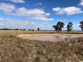 60 Willaring Bridge Road Wallaloo East VIC 3387 - Image 2