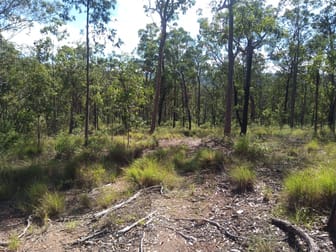 10 Paddys Flat Road Tabulam NSW 2469 - Image 3