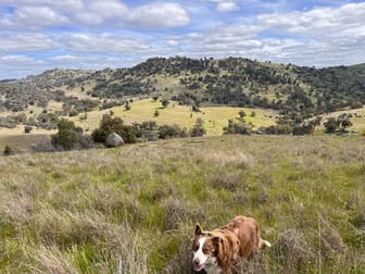 Lot 3 Tarrants Gap Road Wyangala NSW 2808 - Image 1