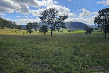 LOT 102 Yarraman Road Wybong NSW 2333 - Image 3
