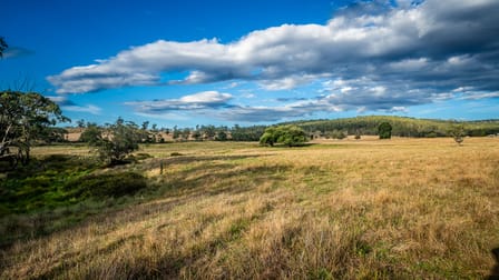 'Woodville' Delegate River VIC 3888 - Image 2