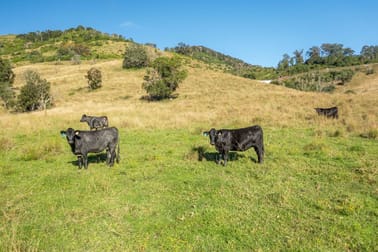 7748 Oxley Highway Mount Seaview NSW 2446 - Image 1