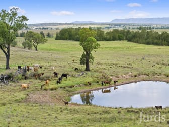 181A Roughit Lane Sedgefield NSW 2330 - Image 3