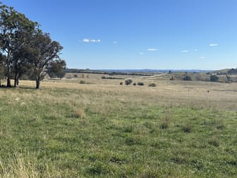 Old Biala Biala Road Gunning NSW 2581 - Image 1