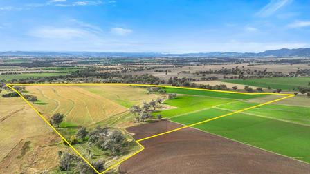 Lot 2 Hausfields Road Duri NSW 2344 - Image 1