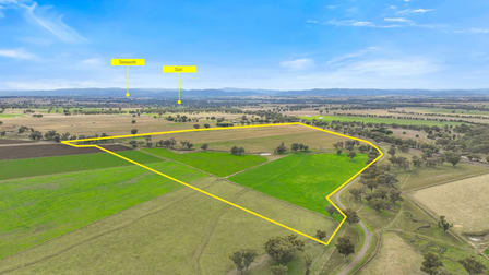 Lot 2 Hausfields Road Duri NSW 2344 - Image 3