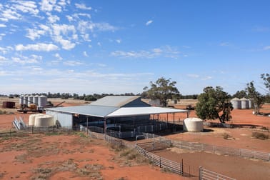 4229 Bobadah Road Bobadah NSW 2877 - Image 3