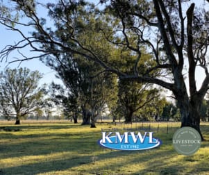 "Kyalla" 156 Forest Road Forbes NSW 2871 - Image 1