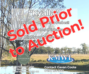 "Kyalla" 156 Forest Road Forbes NSW 2871 - Image 1