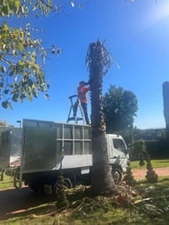 Home & Garden  business for sale in Melbourne City Council - Greater Area VIC - Image 2
