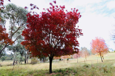 2081 Sofala Road Peel NSW 2795 - Image 2
