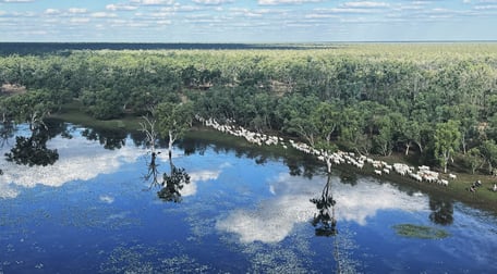 0 Gulf Developmental Road Croydon QLD 4871 - Image 2