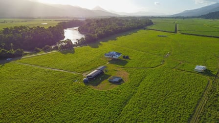 21 Barbagallo Road Aloomba QLD 4871 - Image 1
