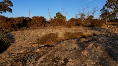 14 Kildare Road Tenterfield NSW 2372 - Image 3