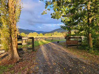 21 Hall Road Healesville VIC 3777 - Image 1