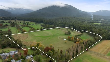 21 Hall Road Healesville VIC 3777 - Image 2