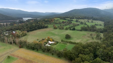 21 Hall Road Healesville VIC 3777 - Image 3