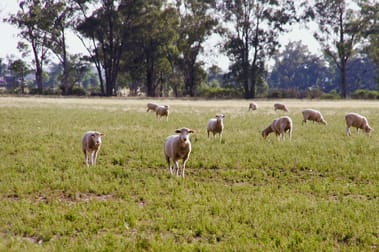 1041 Balladoran Railway Road Gilgandra NSW 2827 - Image 3