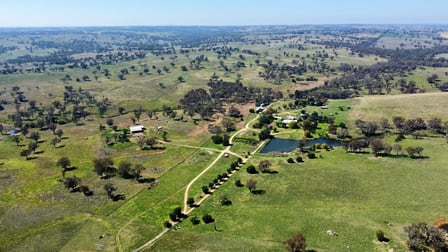 Milvale Road Young NSW 2594 - Image 1