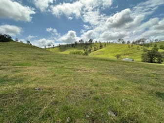 5555 Parks Creek Road East Gresford NSW 2311 - Image 2