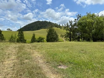 5555 Parks Creek Road East Gresford NSW 2311 - Image 3