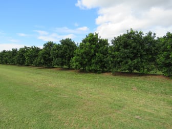 268 Lovers Walk Woongarra QLD 4670 - Image 1