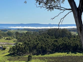 204 Wylie Creek Road Wylie Creek NSW 2372 - Image 1
