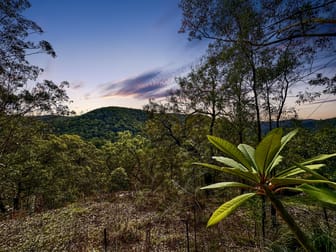 2127 Wollombi Road Sweetmans Creek NSW 2325 - Image 2