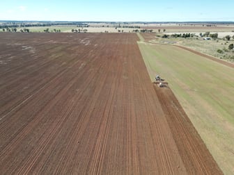 'Durringle' 104 Pfeiffers Lane West Wyalong NSW 2671 - Image 1