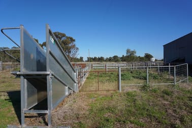 'Durringle' 104 Pfeiffers Lane West Wyalong NSW 2671 - Image 3
