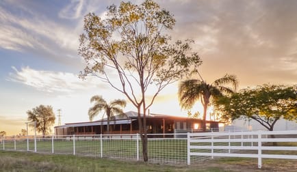 123 Warooby Lane Roma QLD 4455 - Image 1
