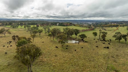 261-335 Bundarra Road Armidale NSW 2350 - Image 1