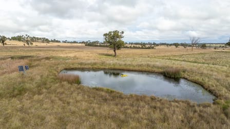 261-335 Bundarra Road Armidale NSW 2350 - Image 3