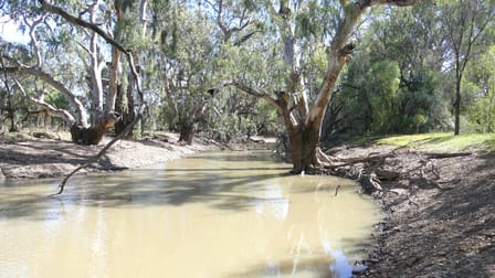 . Gradgery Lane Warren NSW 2824 - Image 1