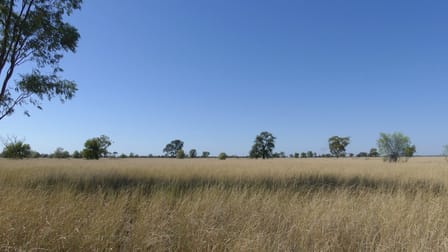 . Gradgery Lane Warren NSW 2824 - Image 2